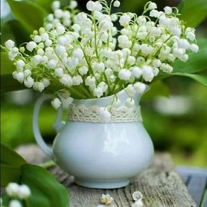 Meet your Posher, Rita